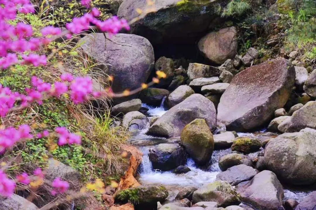 beats365(中国区)-唯一官方网站